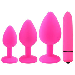 Anal Masturbation Butt Plug Kit 4pcs