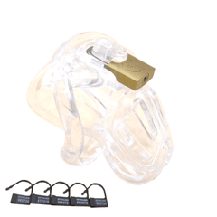 Maximum Security Male Chastity Device