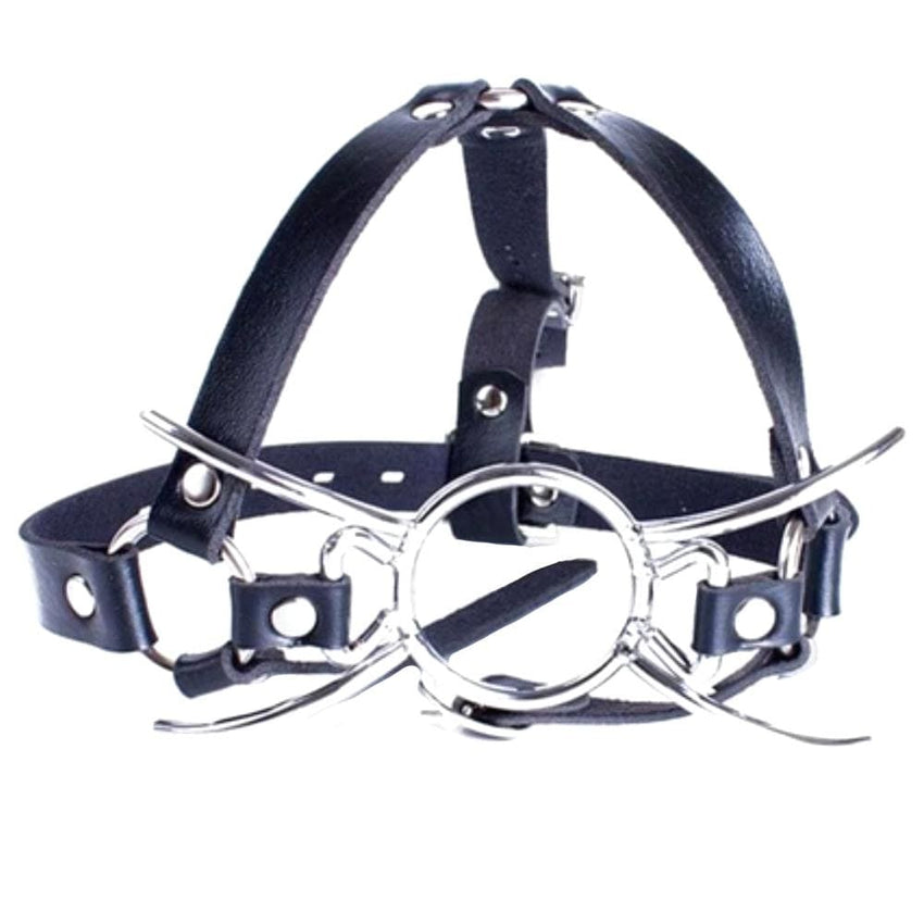 Open Mouth Spreader Spider Gag