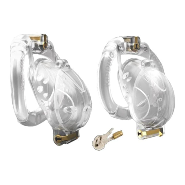 Dual Locking System Chastity Cage