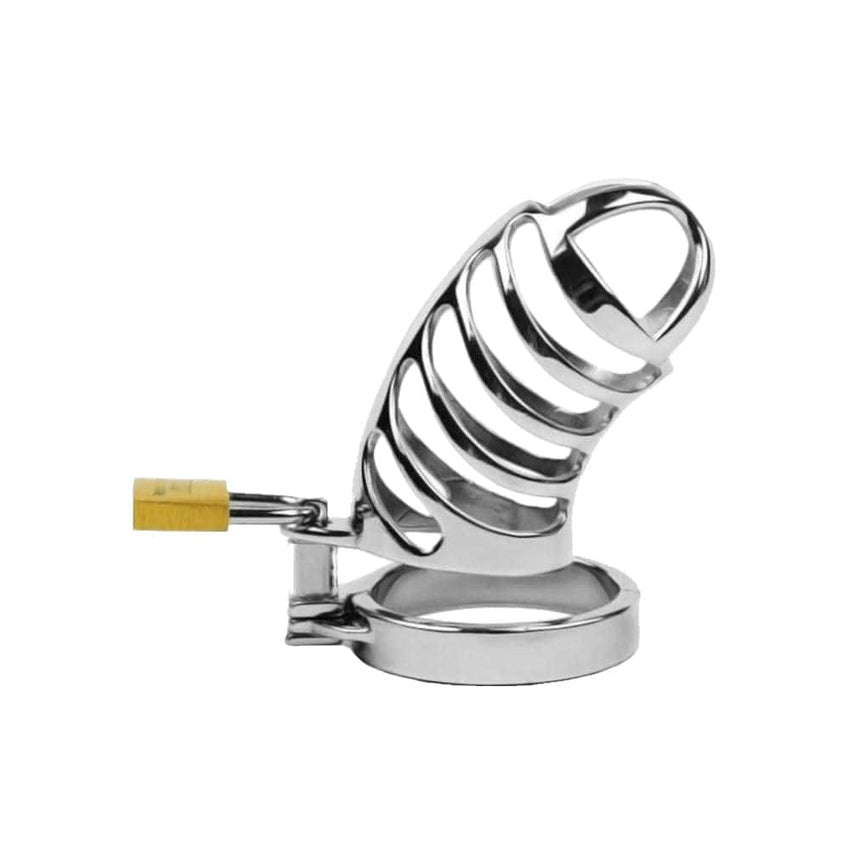 Mature Metal Chastity Device