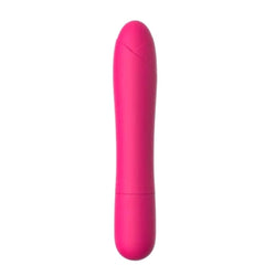 Chic and Stylish Anal Vibrator