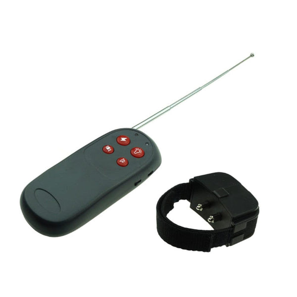 Wireless Cock Torture BDSM Taser