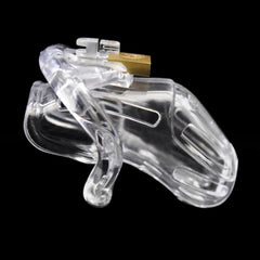 Maximum Security Male Chastity Device