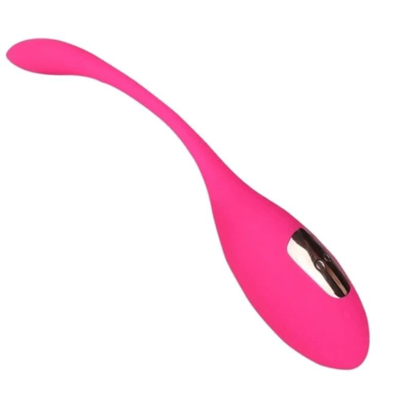 Portable Remote Control Vibrator