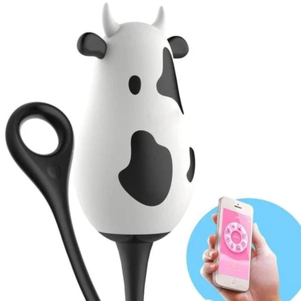 dairy-cow