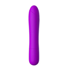 Chic and Stylish Anal Vibrator