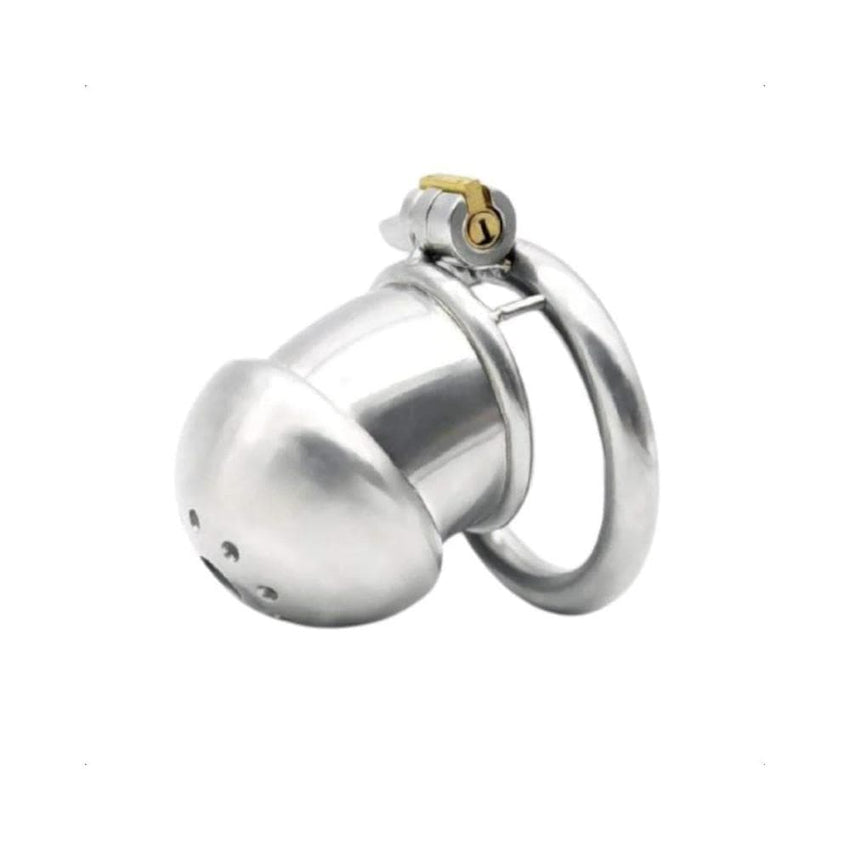 Courtesan's Gift Male Chastity Device