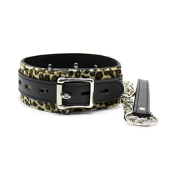 Leopard Print Kitten Play Collar