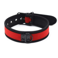 Adjustable Nylon D Ring Collar