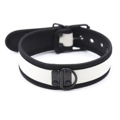 Adjustable Nylon D Ring Collar