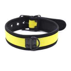 Adjustable Nylon D Ring Collar