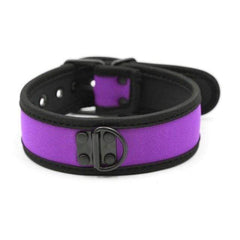 Adjustable Nylon D Ring Collar