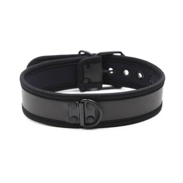 Adjustable Nylon D Ring Collar