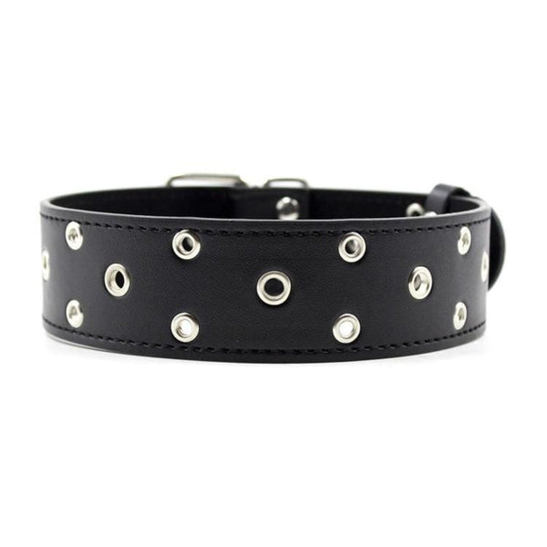 Sub's Trendy Perforated Black Collar