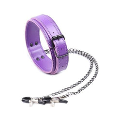 Sisandsis Dress Collar With Nipple Clamps