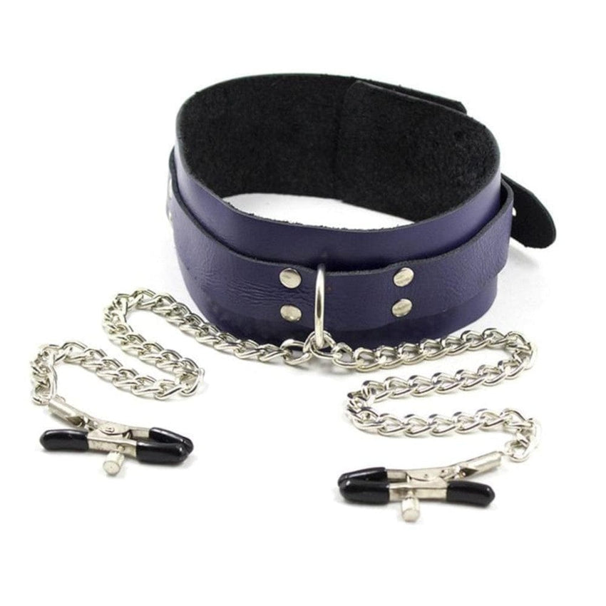 Leather Collar and Nipple Clamps