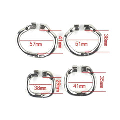 Accessory Ring for Twin Security Male Chastity Device